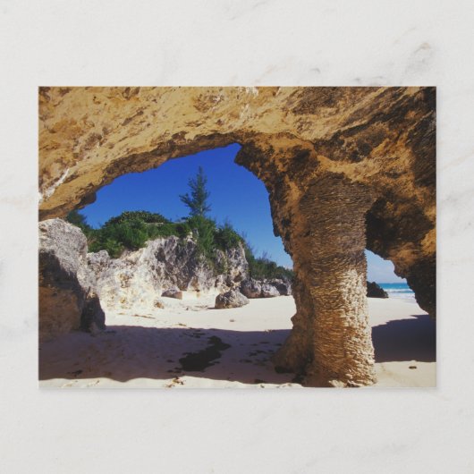 Carte Postale Caraïbes, Bermudes, Tucker's Town. Nature (Devant)