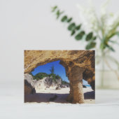 Carte Postale Caraïbes, Bermudes, Tucker's Town. Nature (Debout devant)