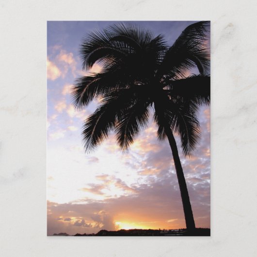 Carte Postale Caraïbes, Îles Vierges américaines, St.Thomas, 3 (Devant)