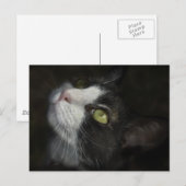 Carte Postale Caramel (Devant / Derrière)