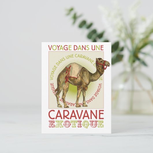 Carte Postale Caravan Camel (Debout devant)