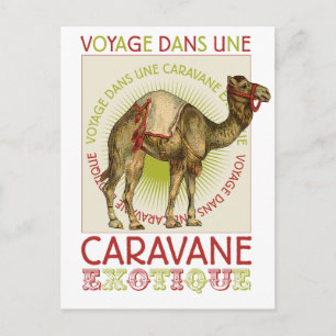 Carte Postale Caravan Camel