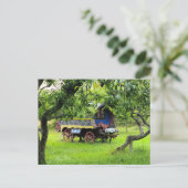Carte Postale caravane de gitans (Debout devant)