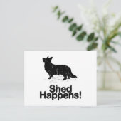 Carte Postale Cardigan Welsh Corgi (Debout devant)