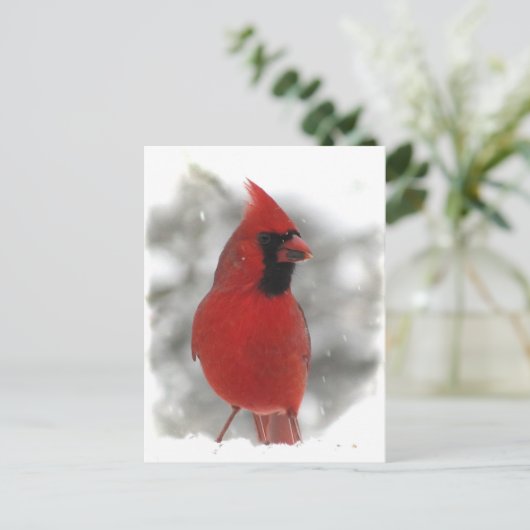 Carte Postale Cardinal (Debout devant)
