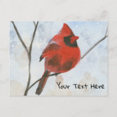 Carte Postale Cardinal (Devant)