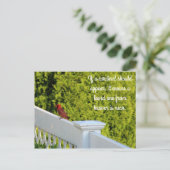 Carte Postale Cardinal (Debout devant)