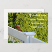 Carte Postale Cardinal (Devant / Derrière)