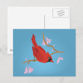 Carte Postale Cardinal (Devant / Derrière)