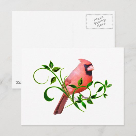 Carte Postale Cardinal (Devant / Derrière)
