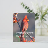 Carte Postale Cardinal (Debout devant)