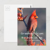 Carte Postale Cardinal (Devant / Derrière)