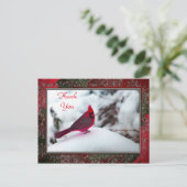 Carte postale Cardinal 6241 Frame TY (Debout devant)