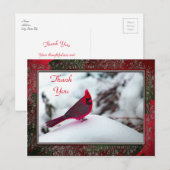 Carte postale Cardinal 6241 Frame TY (Devant / Derrière)
