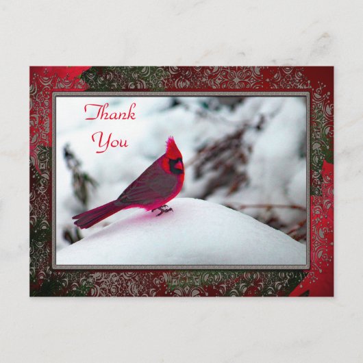 Carte postale Cardinal 6241 Frame TY (Devant)