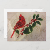 Carte Postale Cardinal à Holly Bush (Devant / Derrière)