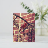 Carte Postale Cardinal à la bibliothèque du 43e (Debout devant)