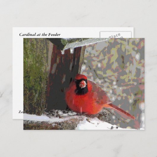 Carte Postale Cardinal à la source (Devant / Derrière)