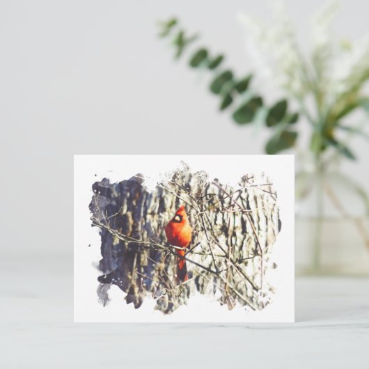 Carte Postale Cardinal aquarelle (Debout devant)