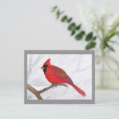 Carte postale Cardinal Art (Debout devant)