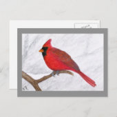 Carte postale Cardinal Art (Devant / Derrière)