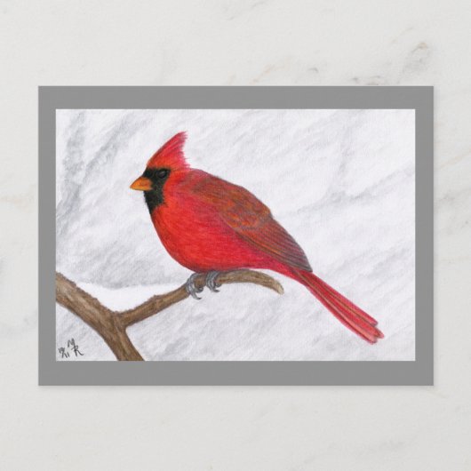Carte postale Cardinal Art (Devant)