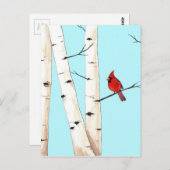 Carte Postale Cardinal aux bouleaux (Devant / Derrière)