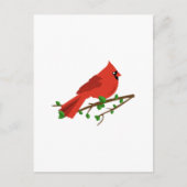 Carte Postale Cardinal Bird (Devant)