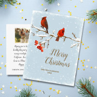 Cardinal Bird Joyeux Noël Famille Photo Voiture po
