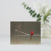 Carte Postale Cardinal Bird'hiver Berry Tree (Debout devant)