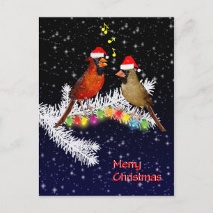Carte postale Cardinal Christmas