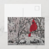 Carte Postale Cardinal dans la neige (Devant / Derrière)