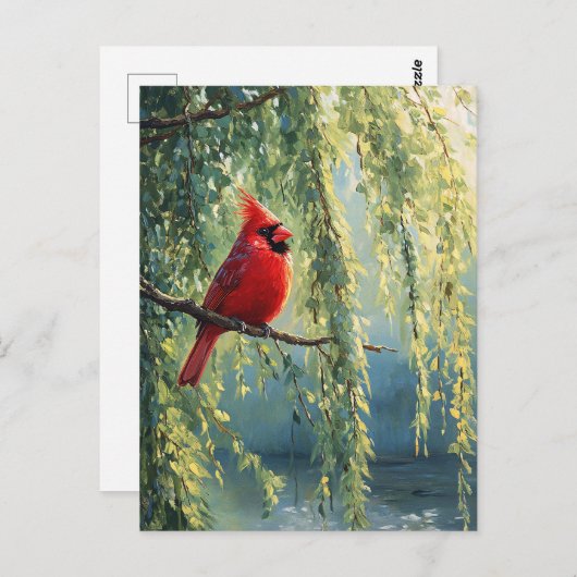 Carte Postale Cardinal dans un arbre sauvage (Devant / Derrière)