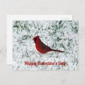 Carte Postale Cardinal de la Saint-Valentin (Devant / Derrière)