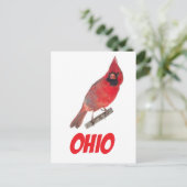 Carte Postale Cardinal de l'Ohio (Debout devant)