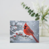 Carte Postale Cardinal de Noël (Debout devant)