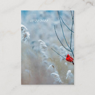 Carte postale Cardinal d'hiver RSVP