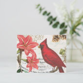 Carte Postale Cardinal d'hiver vintage (Debout devant)