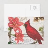 Carte Postale Cardinal d'hiver vintage (Devant / Derrière)