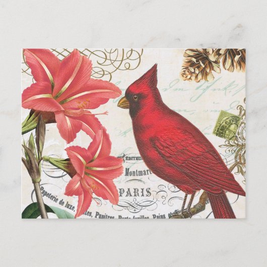 Carte Postale Cardinal d'hiver vintage (Devant)