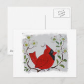 Carte Postale Cardinal & Dogwood (Devant / Derrière)