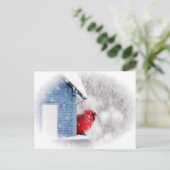 Carte Postale Cardinal du Jour de la Neige - Oiseau (Debout devant)