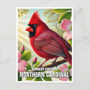 Carte Postale Cardinal du nord de l'État du Kentucky