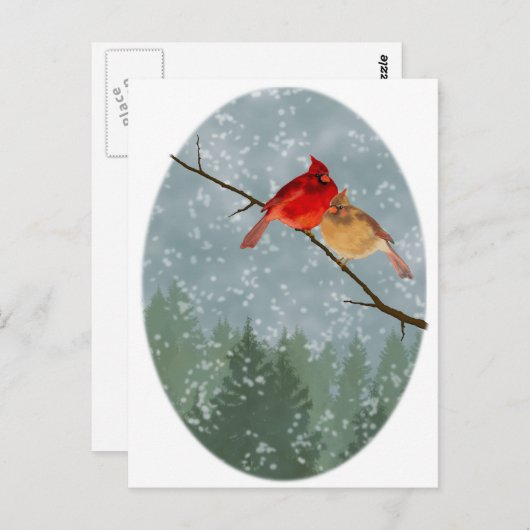 Carte Postale cardinal en hiver (Devant / Derrière)