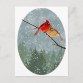 Carte Postale cardinal en hiver (Devant)