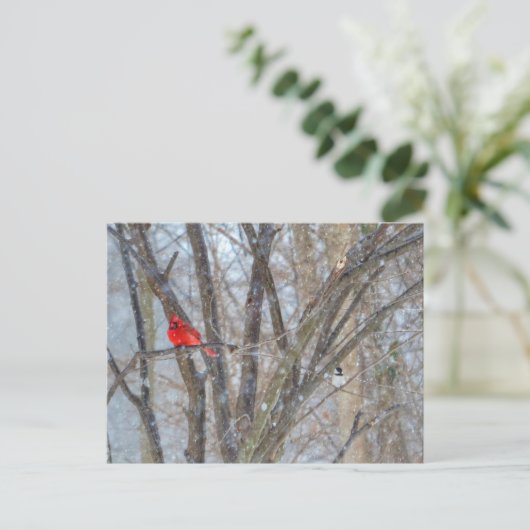 Carte Postale Cardinal et Chickadee (Debout devant)