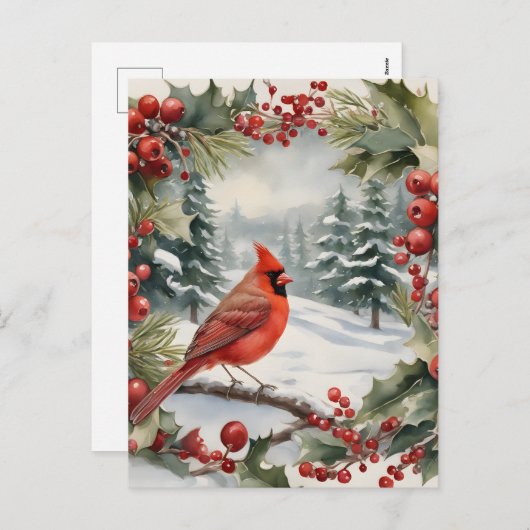 Carte postale Cardinal et Holly Holiday (Devant / Derrière)