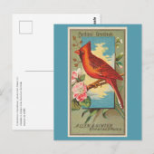 Carte Postale Cardinal Grosbeak (Devant / Derrière)