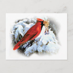 Carte postale Cardinal Holiday