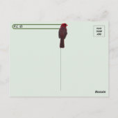 Carte postale Cardinal Homme (Dos)